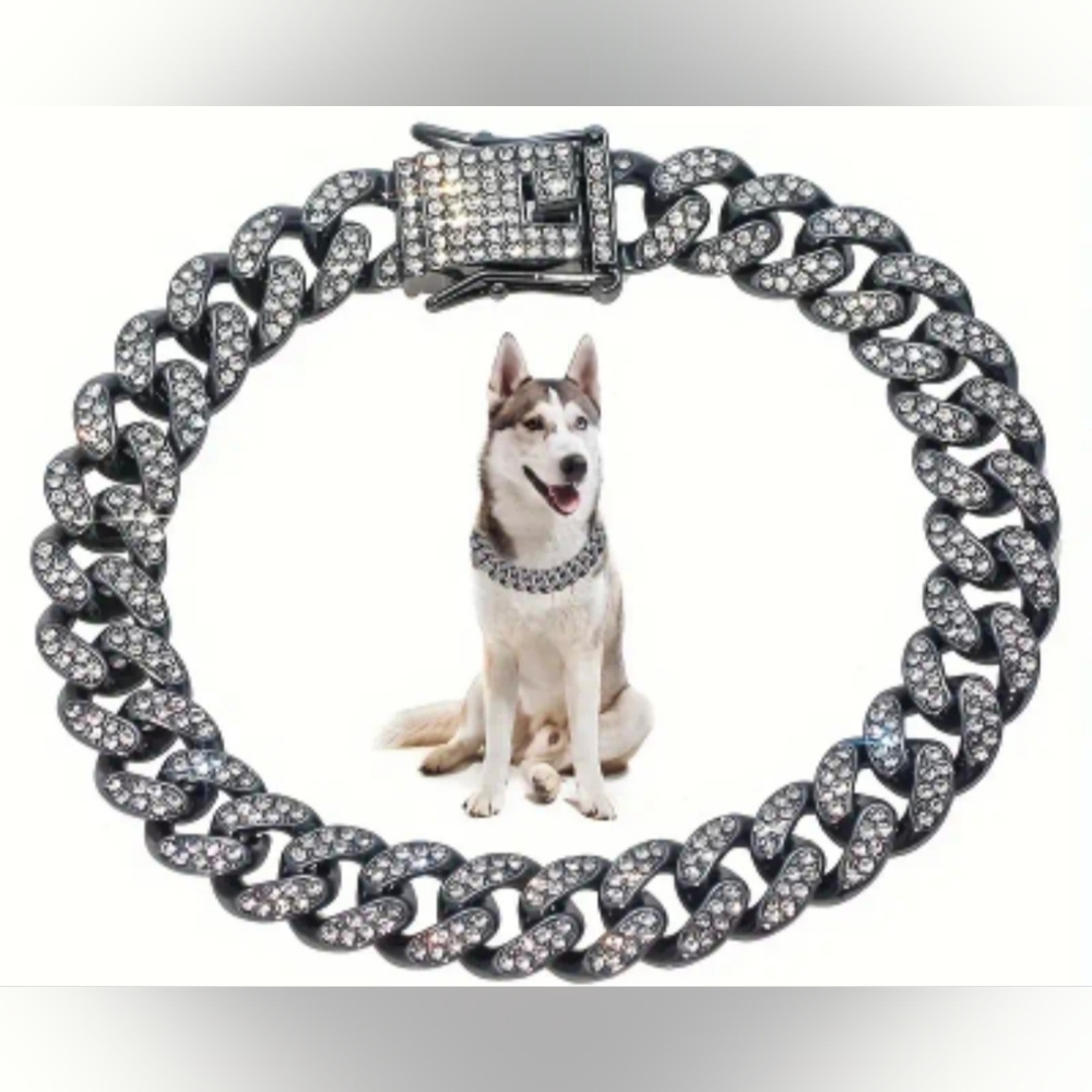 Pet Collar in All Sizes